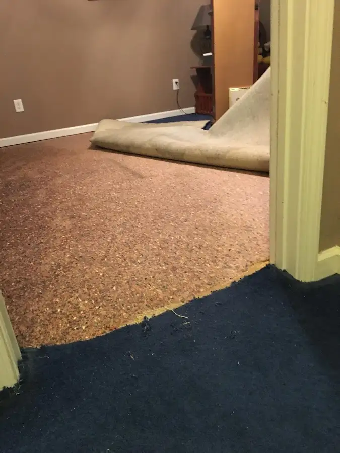 Carpet pad removal revealing water damage during Drying & Dehumidification in North Royalton