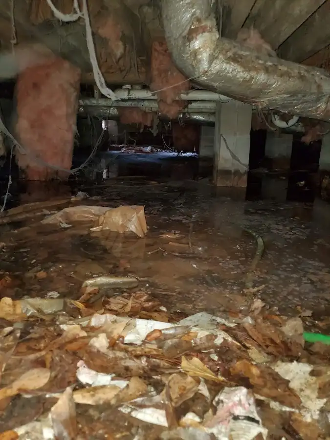 Crawl space flood assessment for Leak Detection & Repair in North Royalton